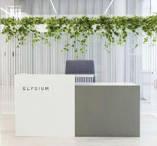 Quầy Showroom